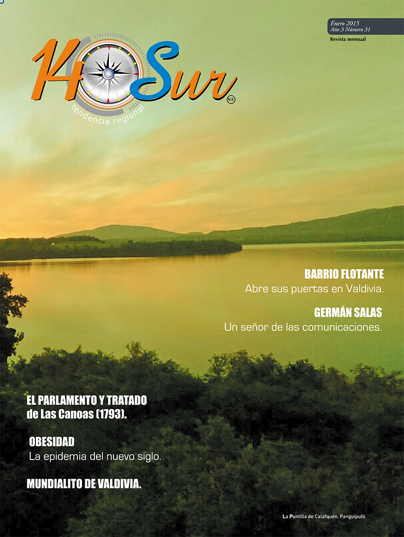 REVISTA T14 4-4.FH11