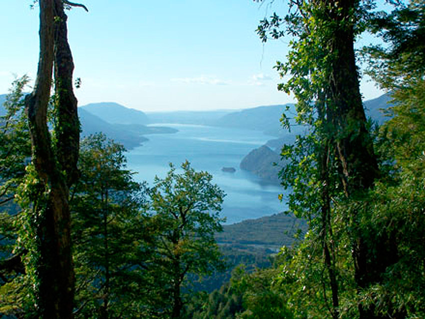 Reserva  Nacional  Mocho – Choshuenco: paseando entre gigantes cordilleranos