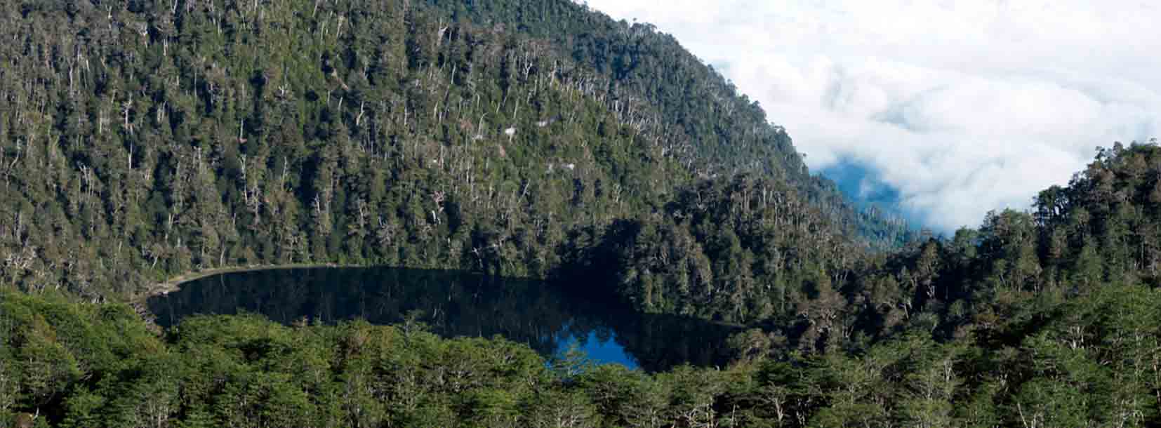 Parque Futangue: turismo con responsabilidad medioambiental